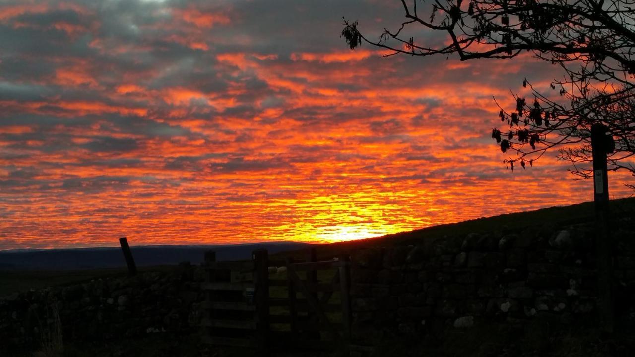 The Snug @ Corry Cottage Haltwhistle Eksteriør bilde